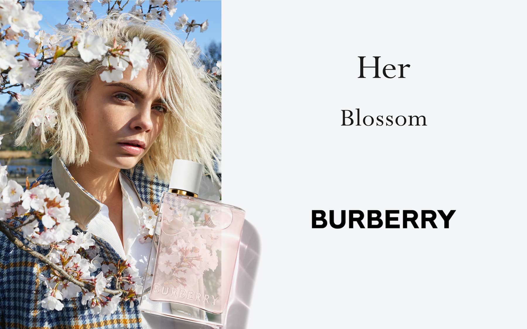 BURBERRY, BURBERRY Her Blossom, BURBERRY Her Blossom EDT, BURBERRY Her Blossom Eau De Toilette, BURBERRY Her Blossom Eau De Toilette Review, BURBERRY Her Blossom Eau De Toilette ราคา, BURBERRY Her Blossom Eau De Toilette รีวิว, น้ำหอม BURBERRY, น้ำหอม BURBERRY Her, น้ำหอม BURBERRY รีวิว